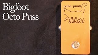 Video thumbnail for Bigfoot Engineering Octo Puss (Analog, Passive Octave-Up Effect) by Joe Perkins
