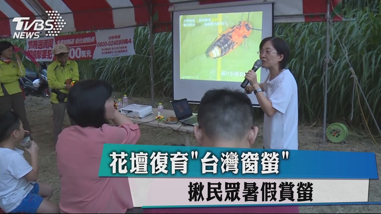 花壇復育「台灣窗螢」 揪民眾暑假賞螢