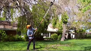 The Pole Saw: Because Chainsaws and Ladders Don’t Mix