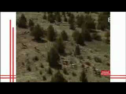 A.Bougrain-Dubourg - Je veux chanter pour ceux