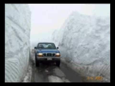 Bosanac u kanadi (ORIGINAL)