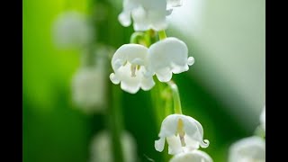 Dopo un cancro al seno: come curare i sintomi urinari della menopausa