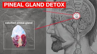 Unlocking Your Third Eye: How to Decalcify Your Pineal Gland