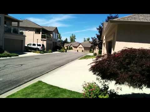 Areeba playing with a cute little dog part 1