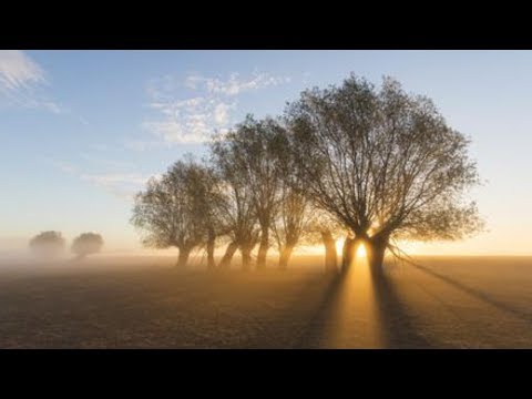 Wetterexperte erklärt: Darum ist es gerade so nebelig
