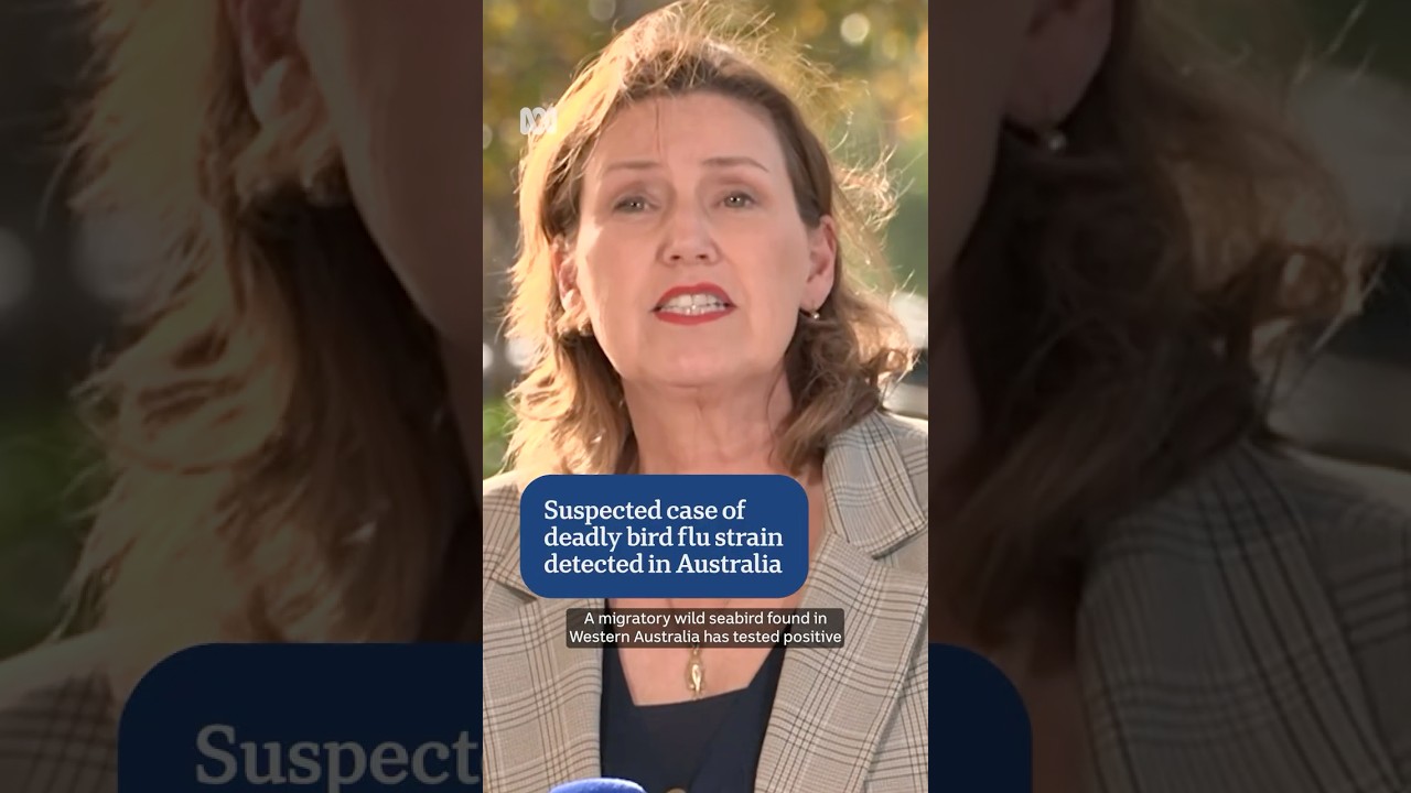 Australia detects suspected H5 bird flu in wild migratory bird in Western Australia
