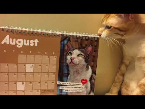 The Sad Story of Noreen