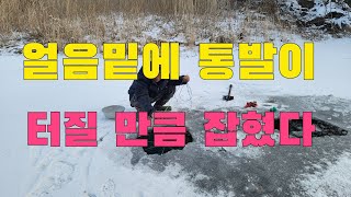 계곡에서 통발로 물고기 잡아서 연탄불에 구워먹어 보자
