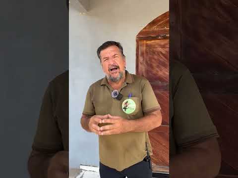 Dia de Campo Guarani de Goiás