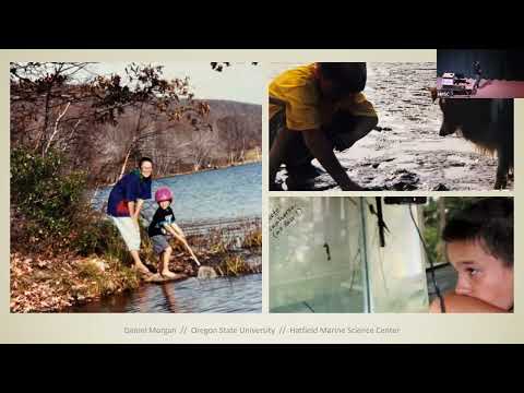 On the Intersection of Design and Marine Science with Daniel Morgan, Hatfield Artist-in-Residence