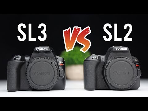 Canon SL3 (250d) vs Canon SL2 (200d) Ultimate Comparison
