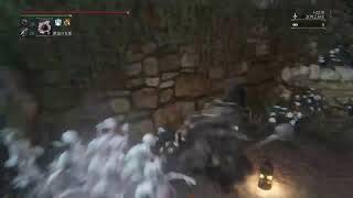 獣狩りの夜を明けさせる配信
