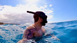 Hiking and Free Diving in Tenerife