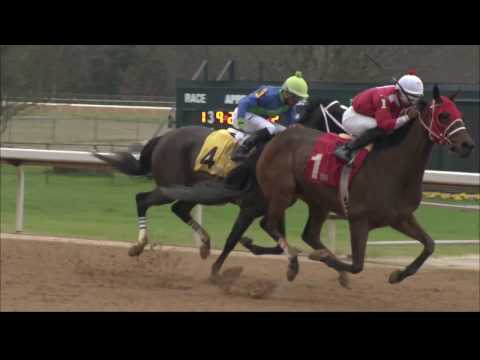 Oaklawn Today Replay Show Feb. 12 2017