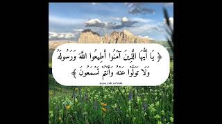 هل طاعة الرسول تعني طاعة الرسالة التي بلغها؟؟؟؟