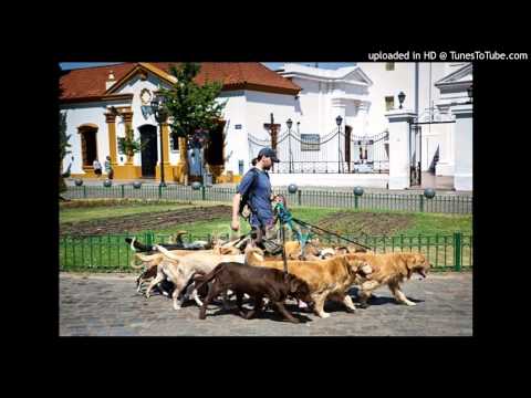 Today's Tango Is... La Perrera - Eduardo Bianco 1928