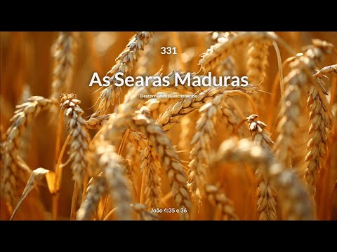 Hinário Adventista • Hino 331 - As Searas Maduras