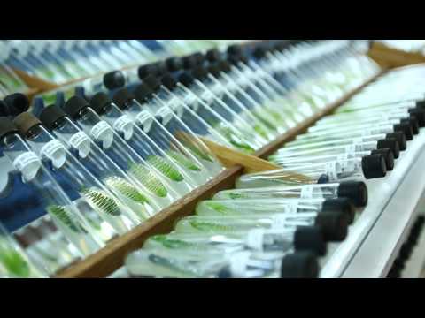 Promotional video of PKNU YouTube Thumbnail