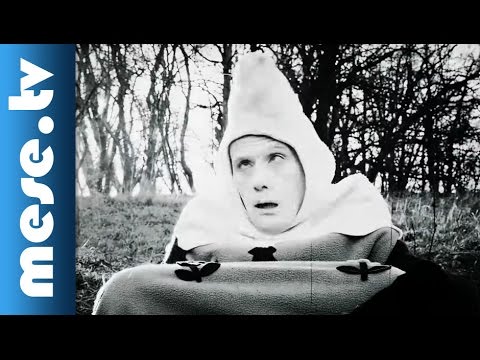 MintaPinty Zenekar - Mese (gyerekdal) | MESE TV