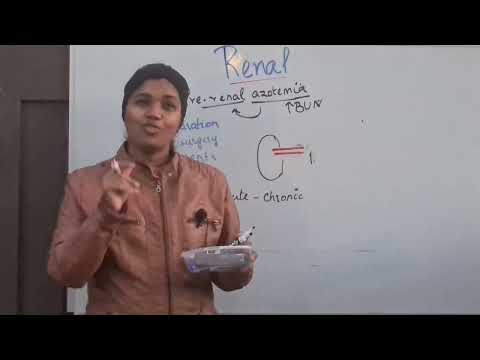 Pre renal azotemia - causes / BUN and FeNa values in pre renal azotemis .