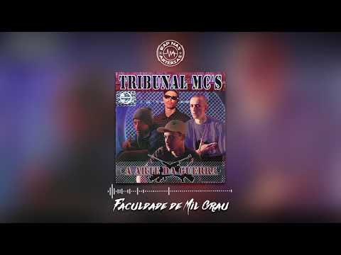 Tribunal Mc's - Faculdade de Mil Grau