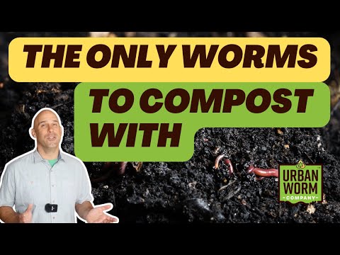 The *Only* Worms You Can Use for Vermicomposting