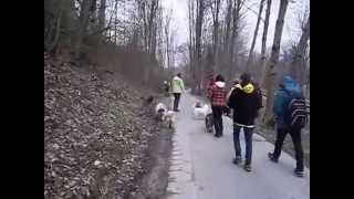 TT Treffen am21.04.2013 am Schliersee