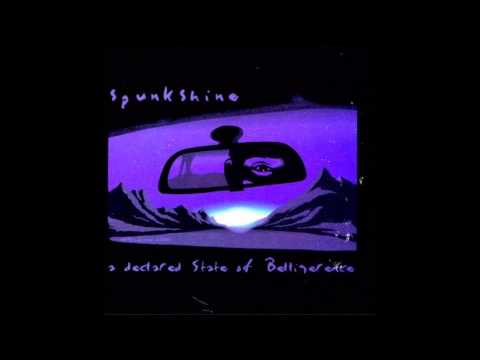 Spunkshine- Building a Grand Theory