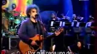 the cure this is a lie live 96 subtitulada