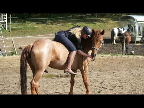 MUSTANG MAKEOVER 2018 Team Jessica (TAG 3935) - Update 6