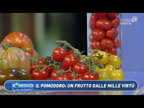 , title : 'Il Mio Medico - Il pomodoro, un frutto dalle mille virtù'
