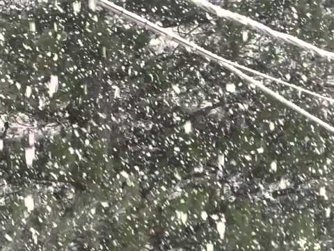 31 gennaio 2015 Campotizzoro