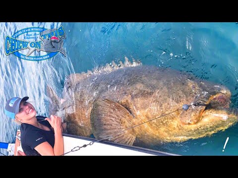 Operating Nurse Fishing For Monster Fish in Florida - Sharks and Goliath Grouper From Texas