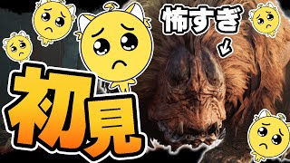 たぶん「竜彫貨〈りゅうちょうか〉」ただ、公式も読み方曖昧な素材とかあるので雰囲気で良いと思う😂 - 『ドシャグマ』様、強すんぎでございますトラwww【モンハンワイルズ/うる虎がーる】