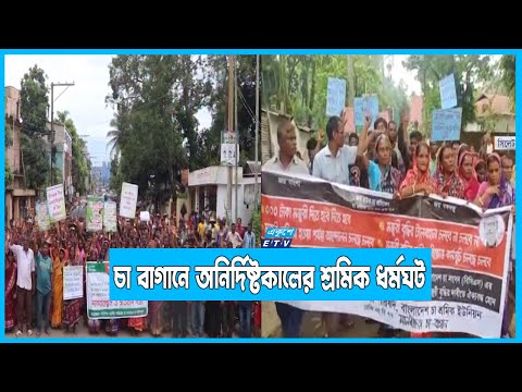 দেশের সব  চা বাগানে অনির্দিষ্টকালের শ্রমিক ধর্মঘট চলছে