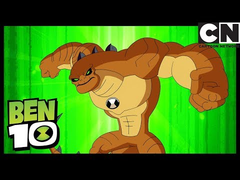 Ben 10 Italiano | Omosauro - Nuovo Alieno | Arriviamo fino a 11 | Cartoon Network