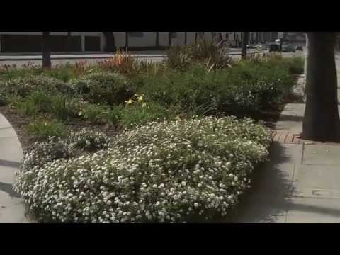 the best wedding proposal 5/23/13