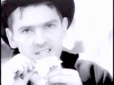 Robyn Hitchcock & The Egyptians - One Long Pair Of Eyes