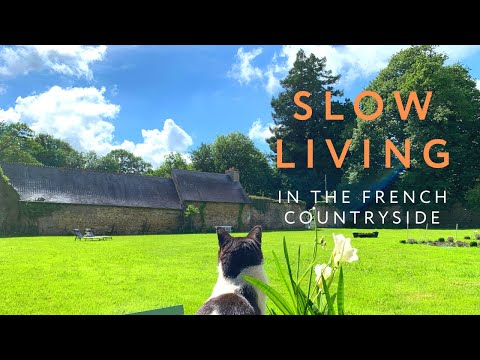 We live in a FRENCH CHATEAU. It's not all fun and games!