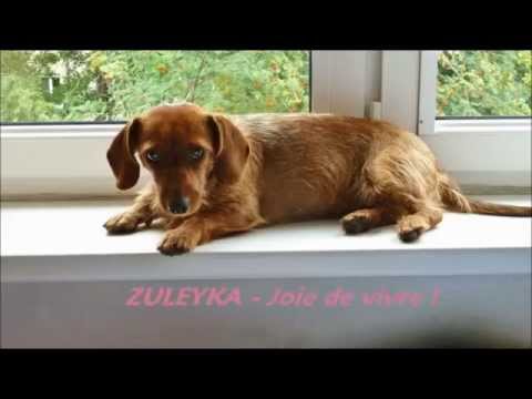 Zulejka - radość życia !