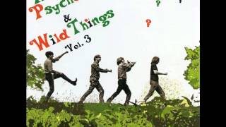 The Del-Fi's - Now It's Time ('60s GARAGE)