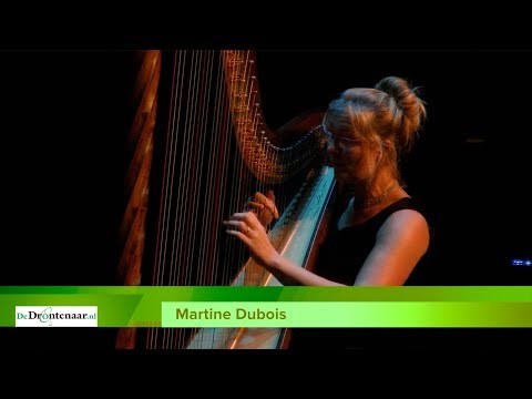 Martine Dubois speelt harp tijdens ‘taizé-viering’ in Swifterbant Martine Dubois speelt harp tijdens ‘taizé-viering’ in Swifterbant
