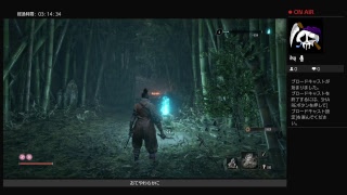 【隻狼】1週目