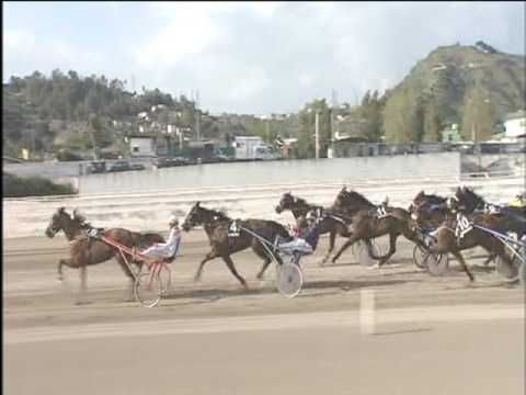 Trotto 07/04/2017 - 3ª corsa