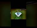 Dhoom 2 Movie Bollywood Film Movieclips Hrithikroshan Dhoom2