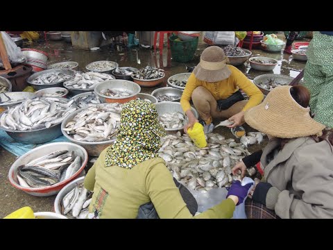 Cambodia Fish Wet Market Activity Scene @Kilo9 | Explore Fish Market at Street Kilo #9 in Phnom Penh