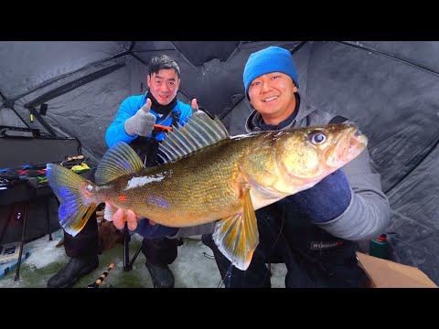 Early Ice Walleye Fishing Feeding Frenzy | Underwater Eats