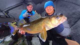Early Ice Walleye Fishing Feeding Frenzy | Underwater Eats
