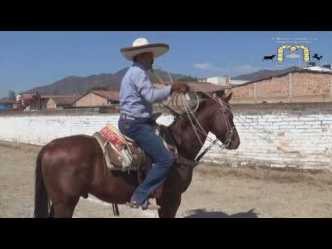 ¡¡¡PIALADERO DE AMIGOS EN TALPA!!! Con lo mejor de lo mejor de los Lienzos Nacionales y Locales