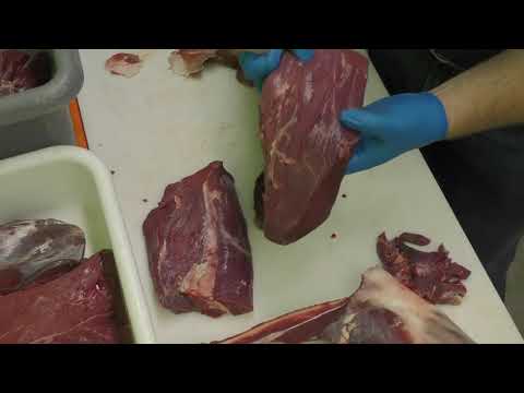 HOW TO BUTCHER A DEER AT HOME